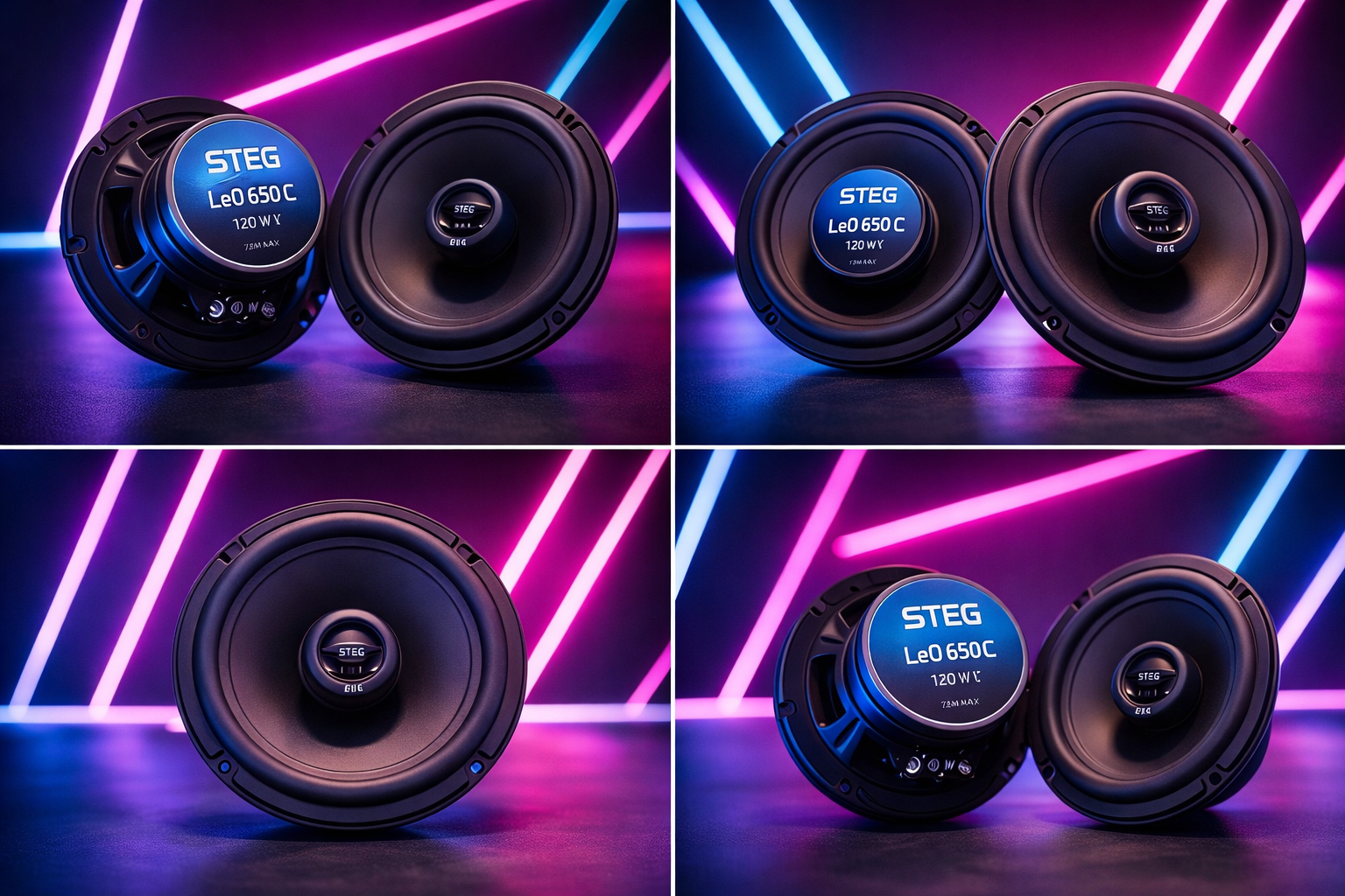 Steg Leo 650C 16er 2-Wege Lautsprecher System